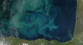 Remolinos océanicos en el golfo de Bizkaia. Foto: NASA